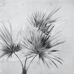 Collection image for: Terra (Eijffinger)