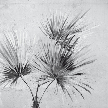 Wallpower Favourites 309095