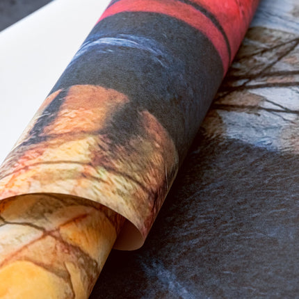 Frauenpower 27002-HTM