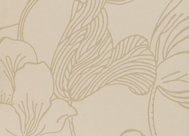 Helleborus 5051836620110