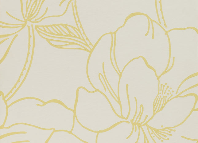 Helleborus 5051836620219
