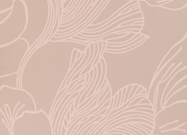 Helleborus 5051836620318