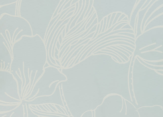 Helleborus 5051836620417