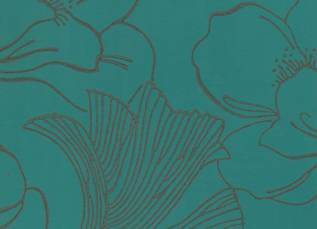 Helleborus 5051836620516