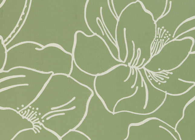 Helleborus 5051836620615