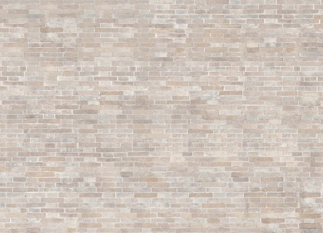 BRICK 56128-1_TNT