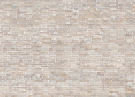 BRICK 56128-1_ECO