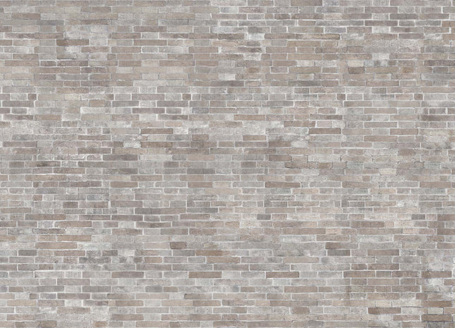 BRICK 56128-2_ECO