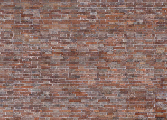 BRICK 56128-4_TNT