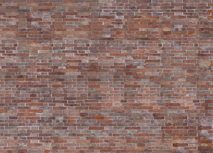 BRICK 56128-4_ECO
