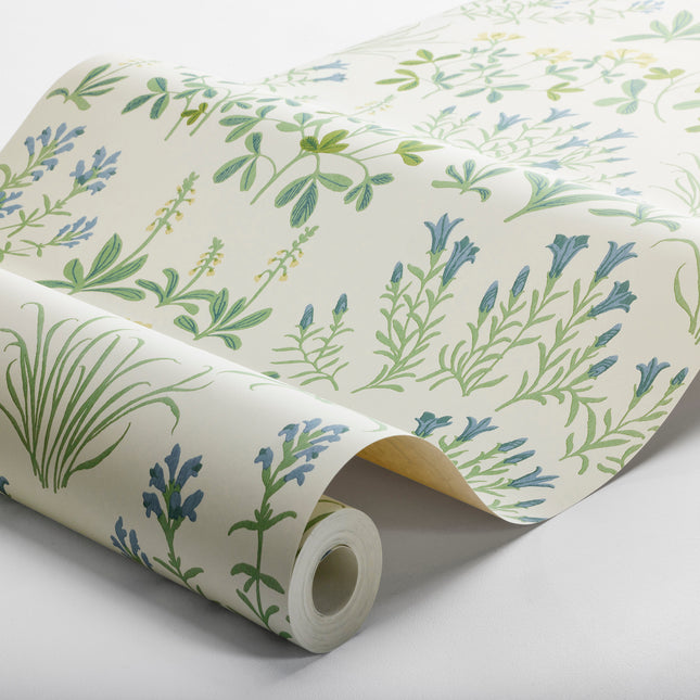 Muster Noras äng 5803