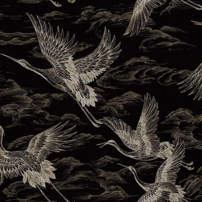 Imperial Ibis B00138