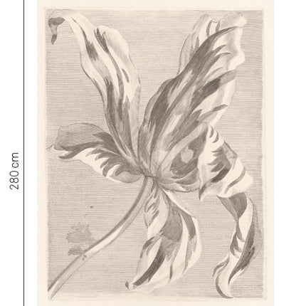 Wallpower Favourites 309032