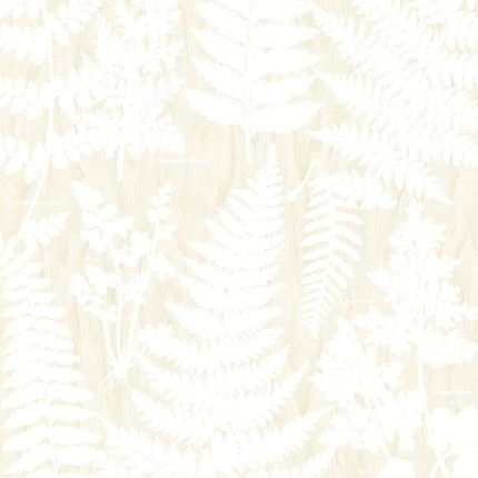 Wallpower Favourites 309019