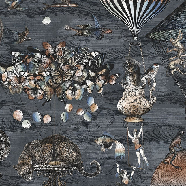 Curious Skies Midnight Blue BMTD001/07B