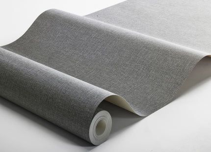 Canvas Graphite 6119