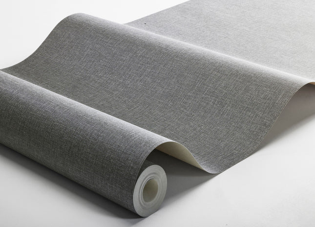 Canvas Graphite 6119