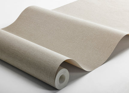 Canvas Taupe 6124