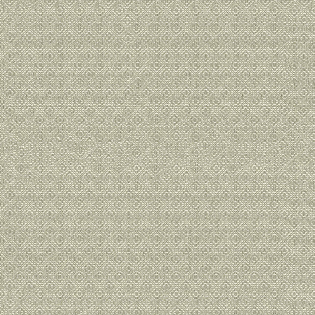 Sisal A00521