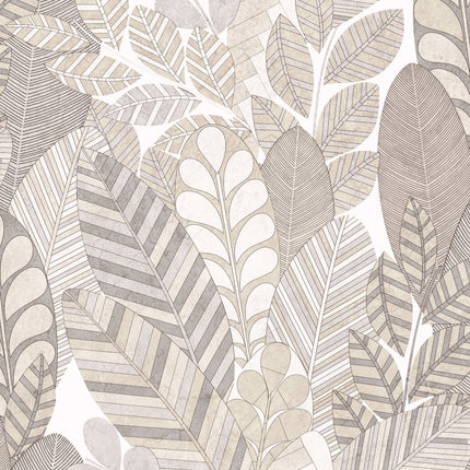 Muster von Cariba 65716-HTM