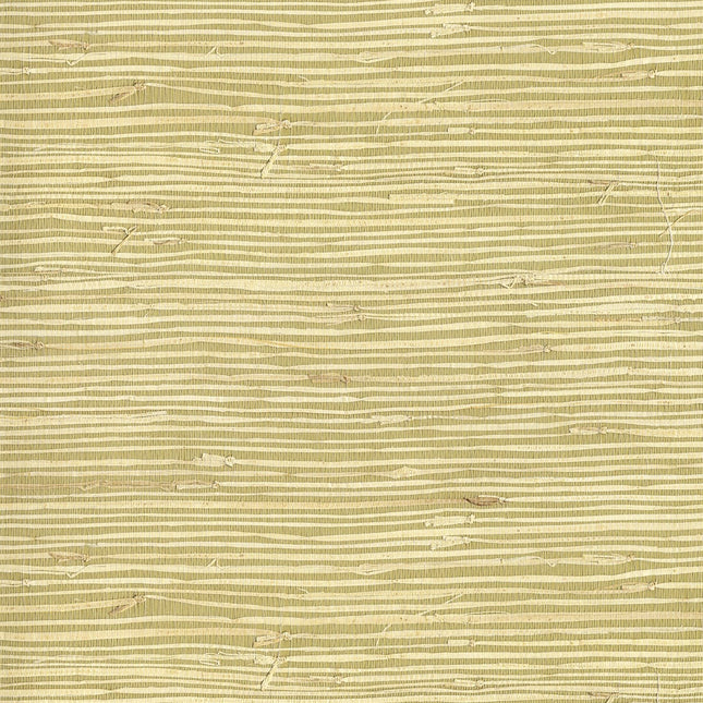 Muster von Natural Wallcoverings III 303503