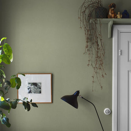 Muster Olivine Sand 7582