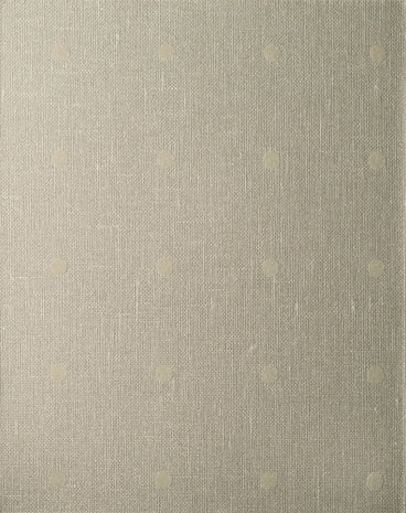 Topalin 2620.92