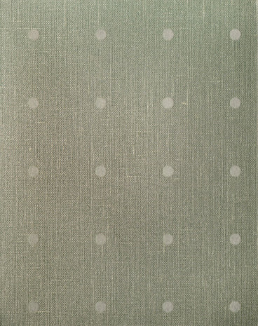 Topalin 2620.94
