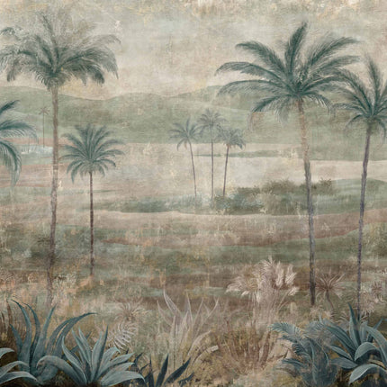 Draa Palms B00454
