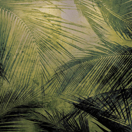 Palms 9600601