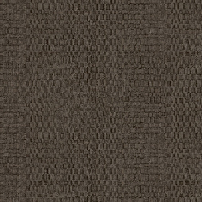 Muster von Canvas 313531