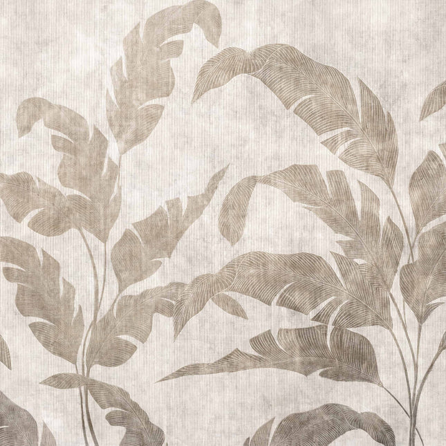 Leaves Shadow B00467