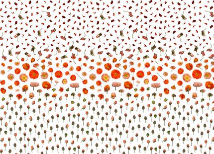 Muster 50 x 50 cm von Flores 3010