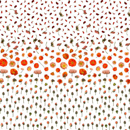 Muster 50 x 50 cm von Flores 3010