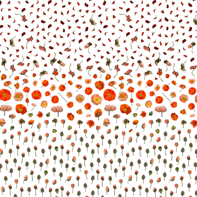 Muster 50 x 50 cm von Flores 3010