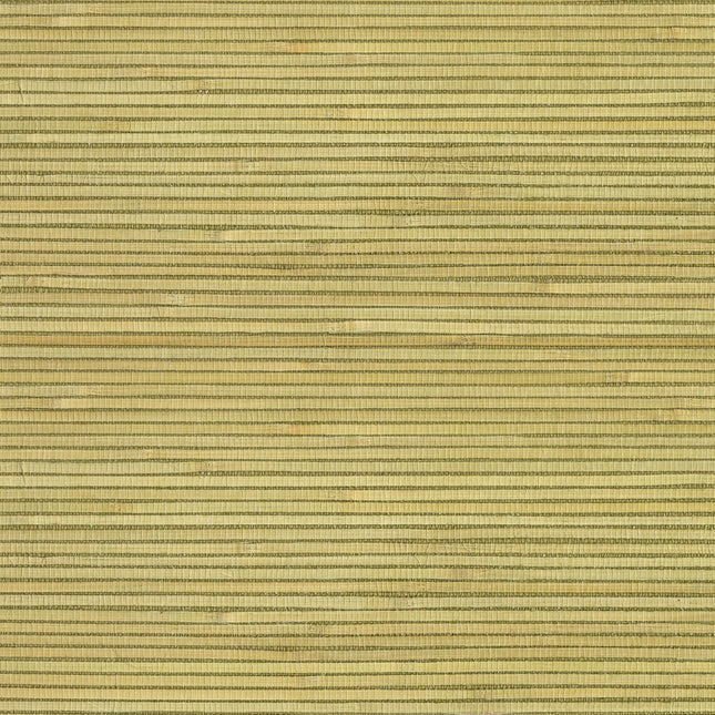 Muster von Natural Wallcoverings III  303500