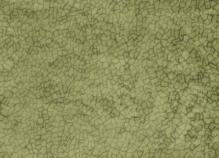 PRAGMATICO 72912-1B_TNT