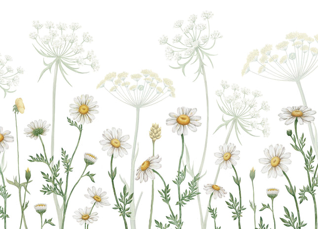 Muster 50 x 50 cm von Dazzling Daisies white 2009