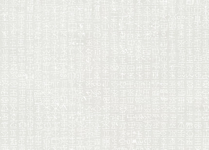 CARRIERISMO 73257-2_METAL