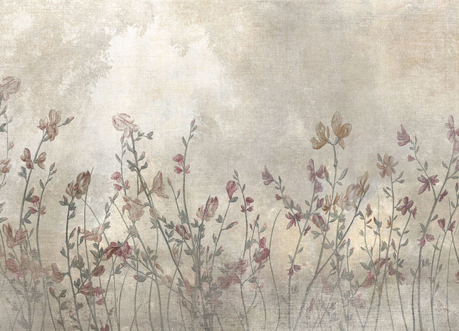 AUSTEN 73296-2_ECO