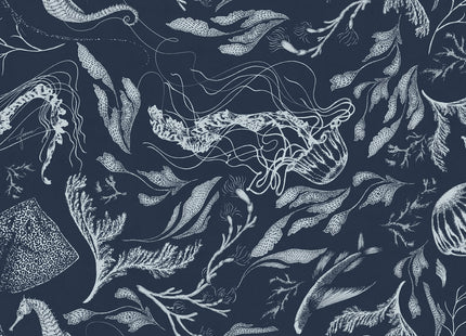 SEALIFE 73684-2_TNT