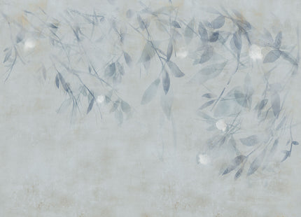 WILLOW 75437-2_TNT