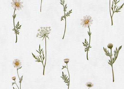 Muster 50 x 50 cm von Dreamy Daisies