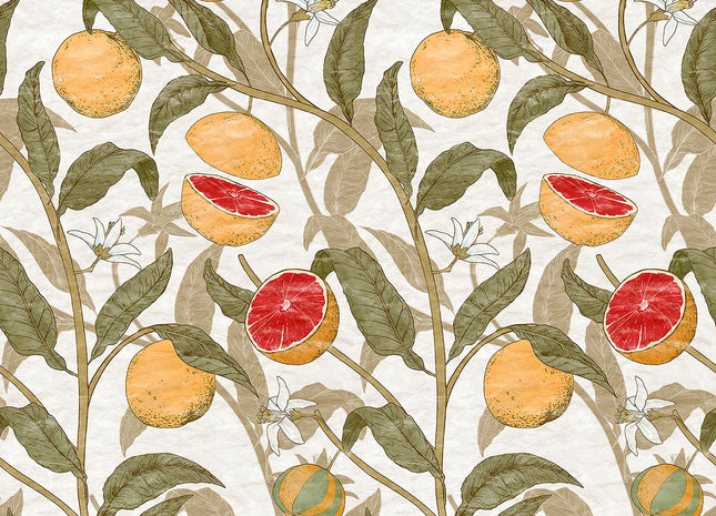 CITRUS 76724-1_TNT