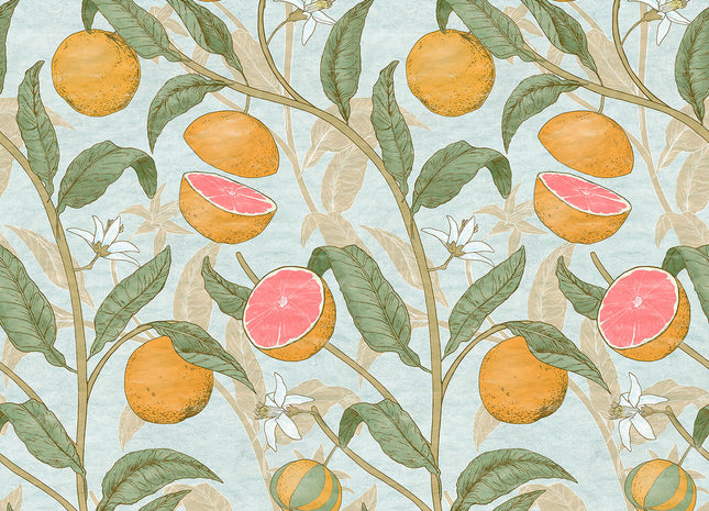 CITRUS 76724-3_ECO