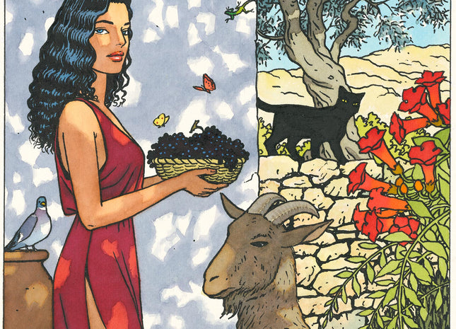 CIRCE 78214-1_ECO