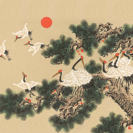 Muster Coordonné 900070V