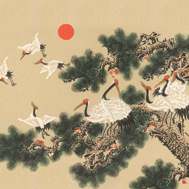 Muster Coordonné 900070V