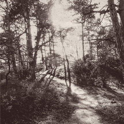 Wallpower Favourites 309020