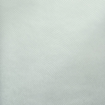 Muster von Spirit 64641